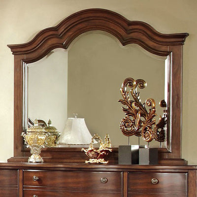 Traditional Elegant Style Mirror , Brown Cherry