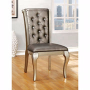 Contemporary Side Chair Silver Finish, Set Of 2