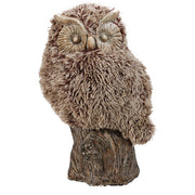 Distinctive Furry Owl, Brown