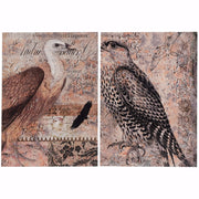 Exotic Birds Prints - Set Of 2