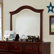 Traditional Design Frame Mirror, Brown
