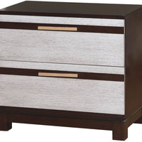 Wooden Night stand with 2 Drawers, Silver & Brown