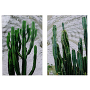 Twin Cacti Canvas Print ,Set of 2, Green