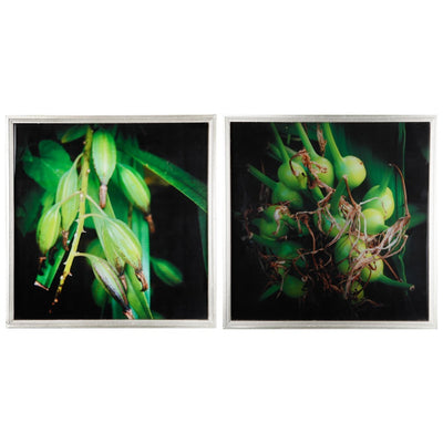 Botanical Photography Cotton Canvas Wall Art , Green, Set of 2