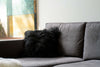 18" X 18" X 5" Black Sheepskin Pillow