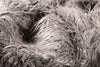 2' X 6' Sage Gray Sheepskin Faux Fur Double Rug