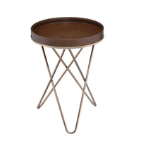 Pearlescent Gold And Dark Brown USB Side Table