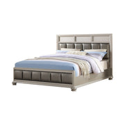 Poplar Wood Queen Size Bed In Silver & Gray