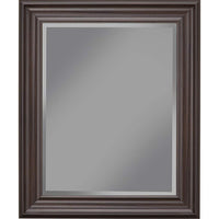 Polystyrene Framed Wall Mirror With Beveled Glass, Espresso Brown