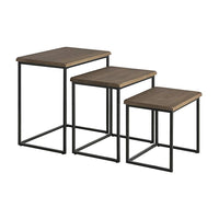 3 Piece Pine wood and Metal Nesting Table, Brown