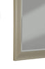 Contemporary Full Length Leaner Mirror With Polystyrene Frame, Brushed Bronze