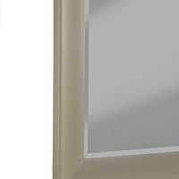 Contemporary Full Length Leaner Mirror With Polystyrene Frame, Brushed Bronze