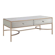 Modern Rectangular Metal and Mirror Coffee Table With 2 Drawers, Silver and Gold