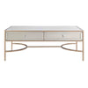 Modern Rectangular Metal and Mirror Coffee Table With 2 Drawers, Silver and Gold