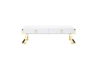 Wooden Coffee Table with Two Drawers and Stainless Steel Legs, White and Gold