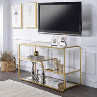 Modern Metal Framed TV Stand with Mirrored Open Compartments, Gold and Clear
