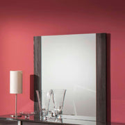 Vertically wood Framed Mirror in Contemporary Style, Gray