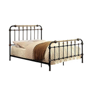 Transitional Queen Metal Bed, Black and Gold