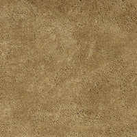 27" X 45" Polyester Gold Area Rug