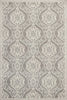 3'3" x 4'11" UV-treated Polypropelene Silver Area Rug