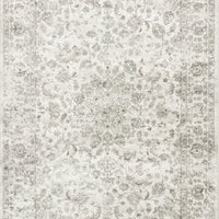 3'3" x 4'7" Viscose Silver Area Rug