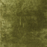 3'3" x 5'3" UV-treated Polyester Green Area Rug