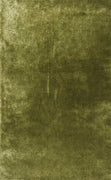 3'3" x 5'3" UV-treated Polyester Green Area Rug