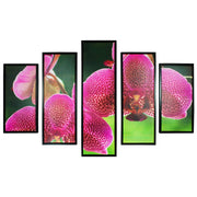 5 Piece Wooden Wall Decor with Floral Imprint, Multicolor
