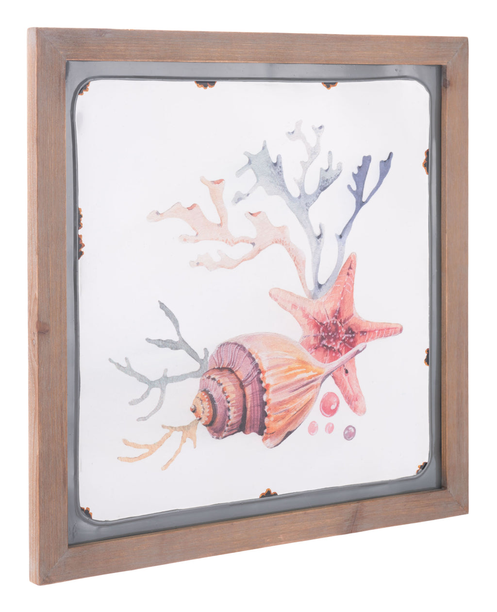 Casual Coastal Conch Shell Starfish Wall Art