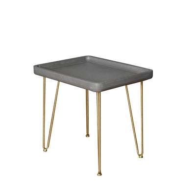 Contemporary Gray and Gold Finish Rectangle End Table 18