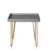 Contemporary Gray and Gold Finish Rectangle End Table 18"H