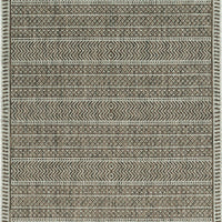 3' x 4' Mocha Polypropylene Area Rug