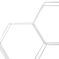 Hexagonal Metal Shelf with D-Ring