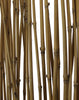 Single Panel Room Divider with Bamboo Branches Design