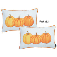 Set of 2 20" Thanksgiving Pumpkin Throw Pillow Cover in Multicolor