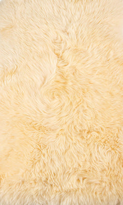 Cream New Zealand Natural Shearling Sheepskin Rug