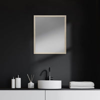 Rectangle Natural Accent Mirror with Matte Finish Frame