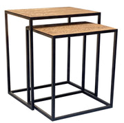 Set Of 2 Rectangular Black Powder Coated Frame and Rattlesnake Faux Leather Top Nesting End Tables