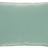 Aqua Indoor Outdoor LumbarThrow Pillow