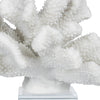 White Ocean Coral Inspired Statue