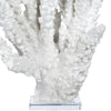 White Deep Sea Coral Inspired Sculpture