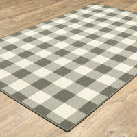 4’x6’ Gray and Ivory Gingham Indoor Outdoor Area Rug