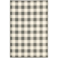 4’x6’ Gray and Ivory Gingham Indoor Outdoor Area Rug