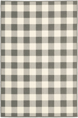 8’x11’ Gray and Ivory Gingham Indoor Outdoor Area Rug