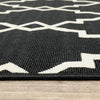 4’x6’ Black and Ivory Trellis Indoor Outdoor Area Rug