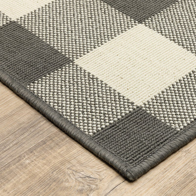 3’x5’ Gray and Ivory Gingham Indoor Outdoor Area Rug