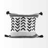 White and Gray Fringed Pillow Cover