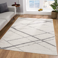 4’ x 6’ Gray Modern Abstract Pattern Area Rug