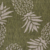 5’ x 7’ Green Pineapple Indoor Outdoor Area Rug