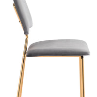 Chloe Dining Chair (Set of 2) Gray &amp; Gold